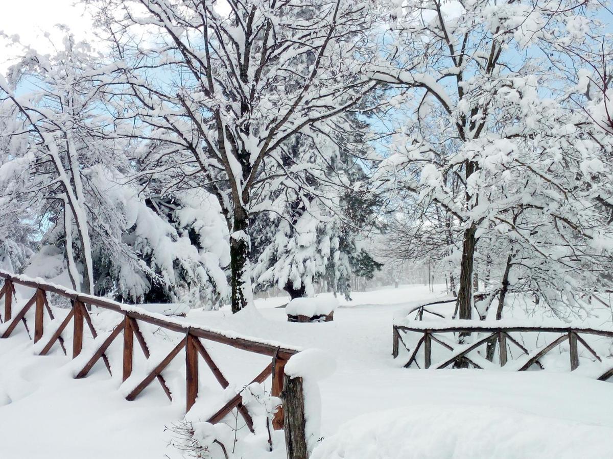 Bed and Breakfast Il Castagno Montemonaco Exterior foto