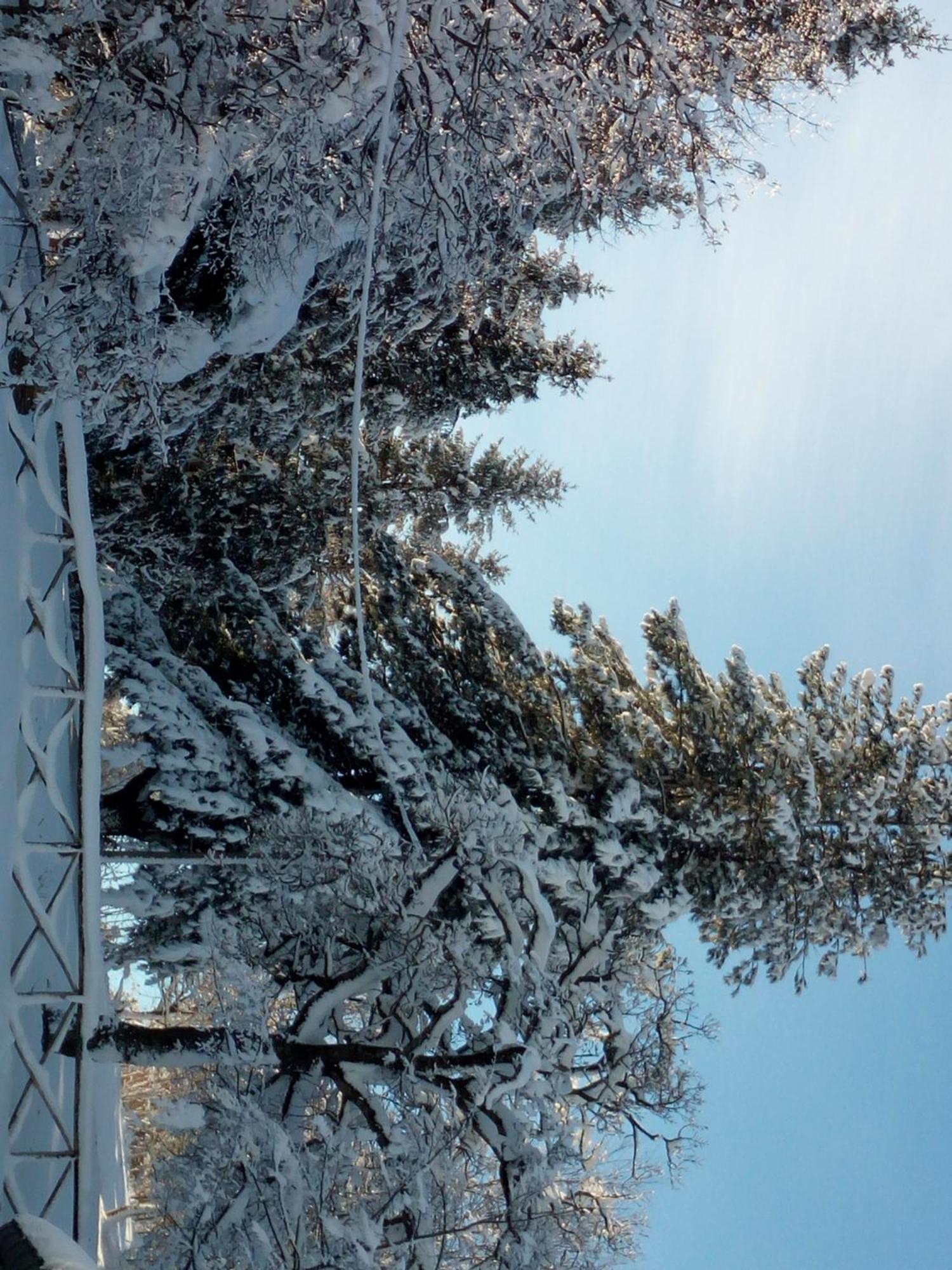 Bed and Breakfast Il Castagno Montemonaco Exterior foto